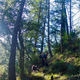 Image for article titled Adventure: California's Lost Coast